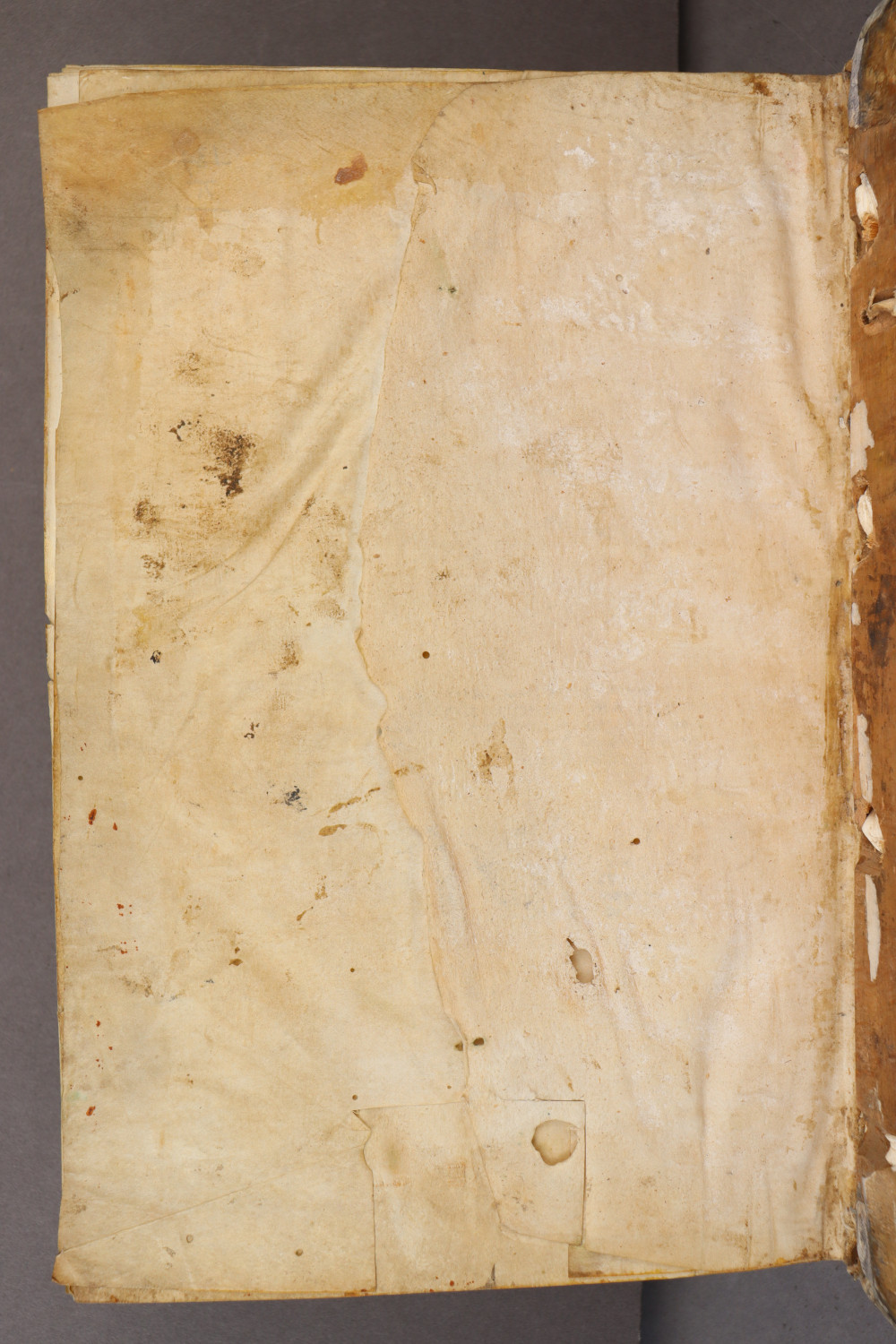 Folio III verso